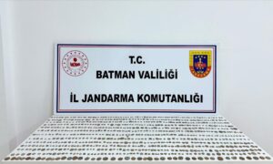 BATMAN (AA) – Batman'da jandarma ekiplerince düzenlenen tarihi eser kaçakçılığı
