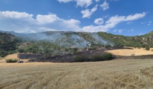 ÇORUM (AA) – Çorum'un Bayat ilçesinde ormanlık alana sıçrayan anız