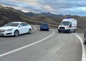 ERZURUM (AA) – Bayburt-Erzurum kırsalı sınırlarında bir hava aracının düştüğü