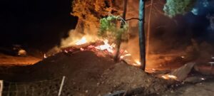 - Yangında çiftlikteki 95 küçükbaş hayvan telef oldu