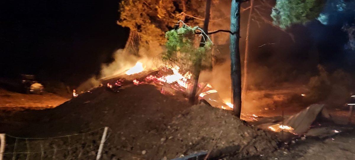 Bilecik'te çiftlikte başlayıp ormanlık alana sıçrayan yangına müdahale ediliyor