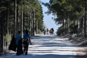 BİLECİK (AA) – Bilecik Belediyesi tarafından orman yangınlarını önlemek ve