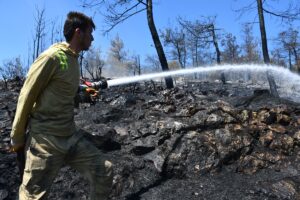 BİLECİK (AA) – Bilecik'te çıkan orman yangını, havadan ve karadan