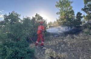 BİNGÖL (AA) – Bingöl'de ormanlık alanda çıkan yangın kontrol altına