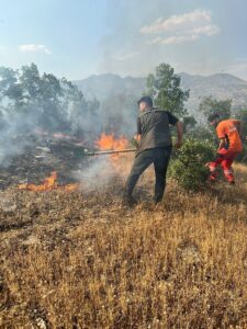 BİNGÖL (AA) – Bingöl'de 3 noktada çıkan orman yangınları söndürüldü.