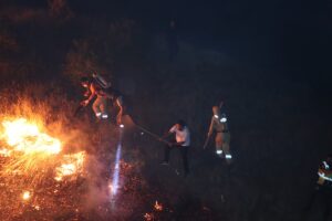 BİNGÖL (AA) – Bingöl'ün Genç ilçesinde ormanlık alanda çıkan yangın,