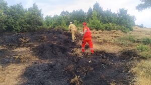 BİNGÖL (AA) – Bingöl'de ormanlık alanlarda çıkan yangın, ekiplerin müdahalesiyle