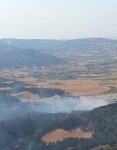 BOLU (AA) – Bolu'nun Göynük ilçesinde iki ayrı ormanlık alanda