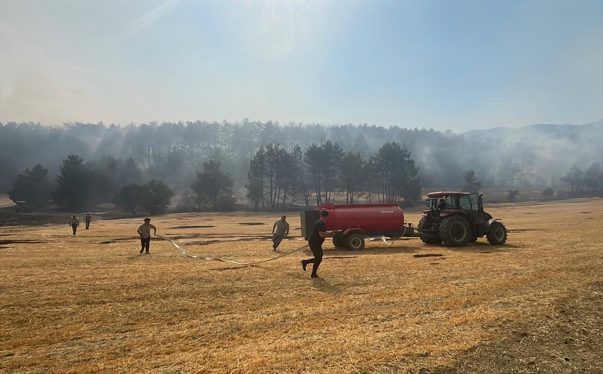 Bolu'da ormanlık alanda çıkan yangın kontrol altına alındı