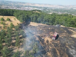 BURSA (AA) – Bursa'nın İnegöl ilçesinde boş arazide çıkan yangın,