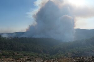 BURSA (AA) – Bursa'nın Orhaneli ilçesinde çıkan orman yangınına havadan