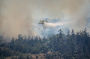 BURSA (AA) – Bursa'nın Gürsu ile Kestel ilçeleri arasındaki ormanlık