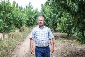 BURSA (AA) – Bursa'nın Gürsu ve Kestel ilçeleri arasında çıkan