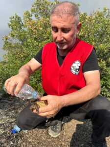 BURSA (AA) – Bursa'nın Orhaneli ve Harmancık ilçeleri arasındaki orman