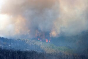 BURSA (AA) – Bursa'nın Orhaneli ve Harmancık ilçeleri arasındaki orman
