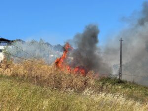İSTANBUL (AA) – Büyükçekmece'de otluk alanda çıkan yangına itfaiye ekiplerince