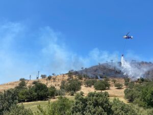 ÇANAKKALE (AA) – Çanakkale'nin Ayvacık ilçesinde bozuk orman alanında çıkan