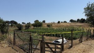 ÇANAKKALE (AA) – Çanakkale'nin Çan ilçesinde kayıp kadının cesedi su