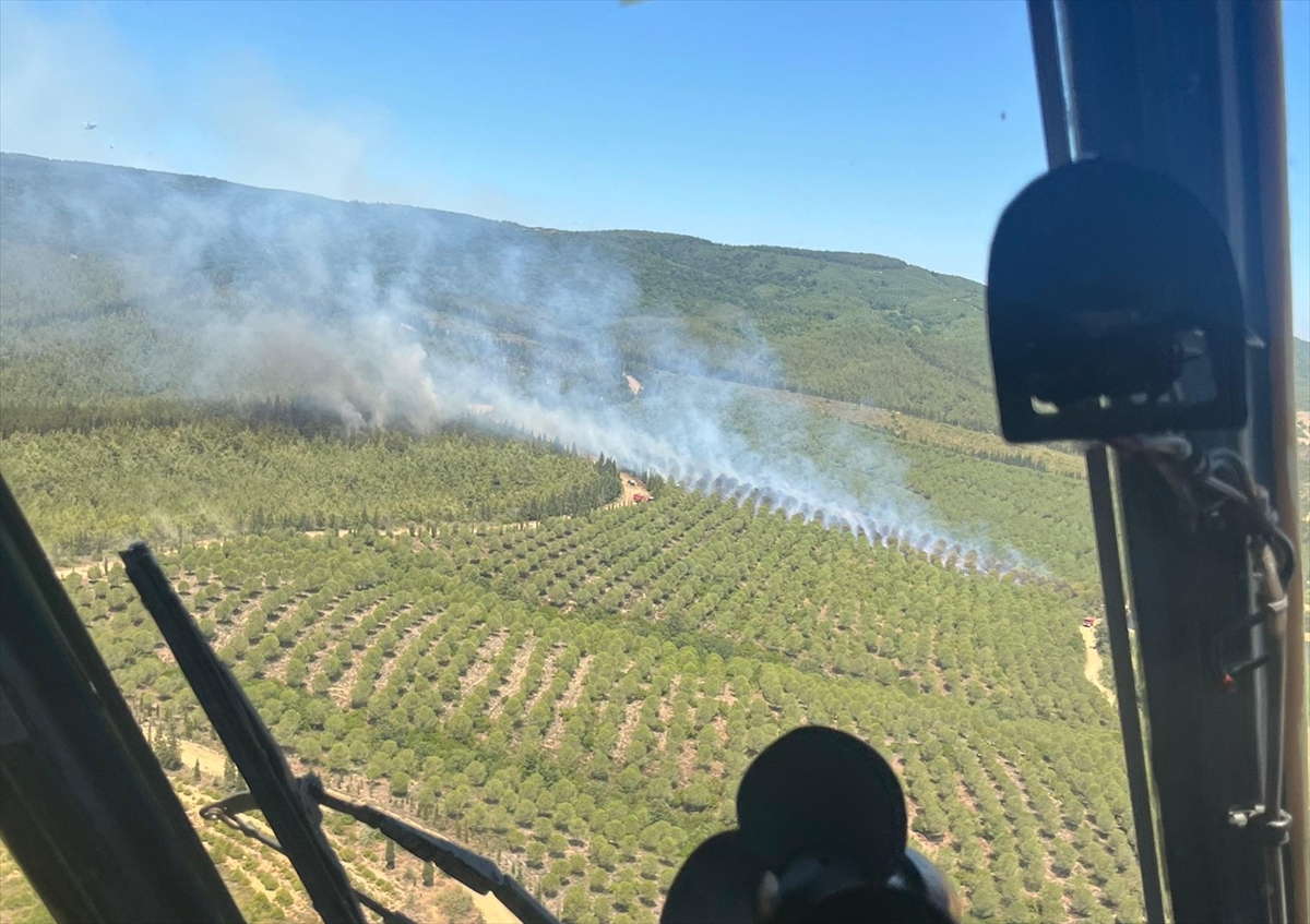 Çanakkale'de ormanlık alana sıçrayan yangına müdahale ediliyor