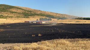 ÇANKIRI (AA) – Çankırı'nın Çerkeş ilçesine bağlı Saçak beldesinde çıkan