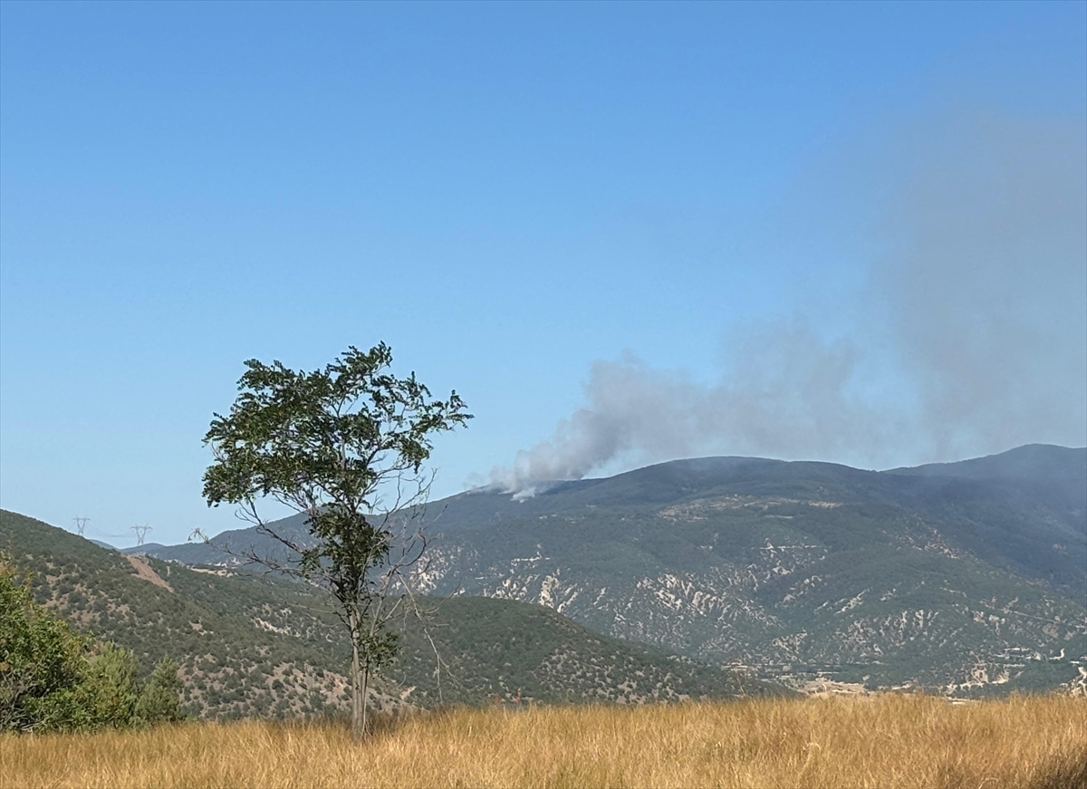 Çankırı'nın Ilgaz ilçesinde ormanlık alanda çıkan yangına müdahale ediliyor