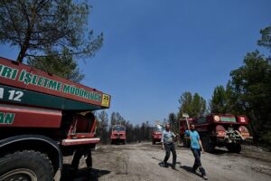 - Safranbolu ilçesinde başlayıp Ovacık ve kent merkezindeki ormanlık alanlara