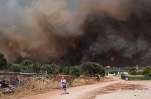 İZMİR (AA) – İzmir'in Çeşme ilçesinde ziraat alanında başladıktan sonra