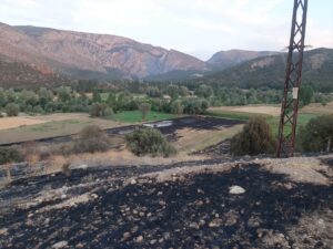 ÇORUM (AA) – Çorum'un Ortaköy ilçesinde anız yangınının ortasında kalan