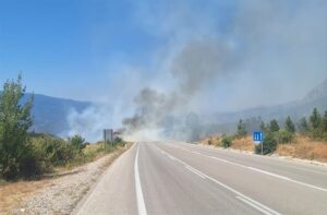 ÇORUM (AA) – Çorum'un Kargı ilçesinde ormanlık alanda çıkan yangın,