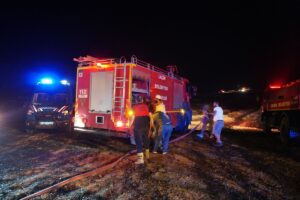 ÇORUM (AA) – Çorum'un Osmancık ilçesinde tarlada çıkan ve ormanlık