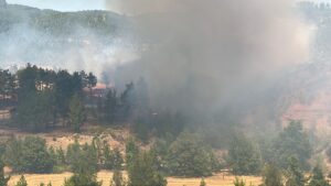 DENİZLİ (AA) – Denizli'nin Acıpayam ilçesinde tarım alanında başlayıp ormana