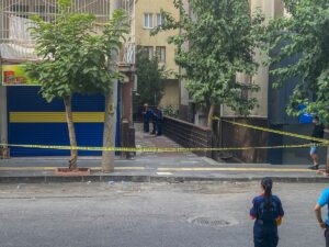 DİYARBAKIR (AA) – Diyarbakır'ın merkez Yenişehir ilçesinde, vatandaşlar tarafından sallandığı