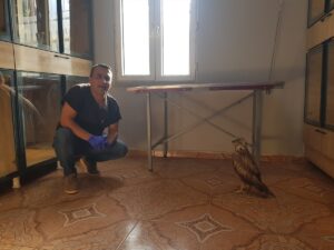 GAZİANTEP (AA) – Gaziantep'in İslahiye ilçesinde, doğaseverler tarafından yaralı bulunan