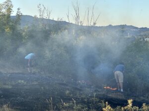 DÜZCE (AA) – Düzce'de çıkan örtü yangını itfaiye ekipleri ve