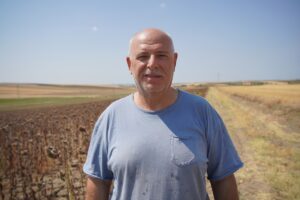 EDİRNE (AA) – Türkiye'nin önemli ayçiçeği üretim merkezlerinden Edirne'de, ayçiçeği