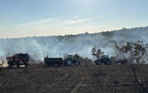 EDİRNE (AA) – Edirne'nin Lalapaşa ilçesinde buğday hasadı esnasında biçerdöverde