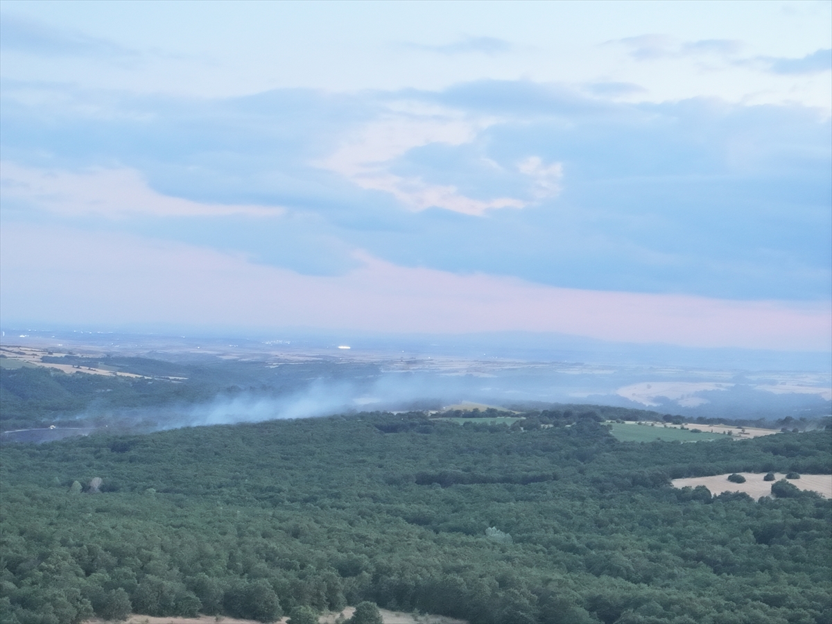 Edirne'de ormanlık alanda çıkan yangın söndürüldü