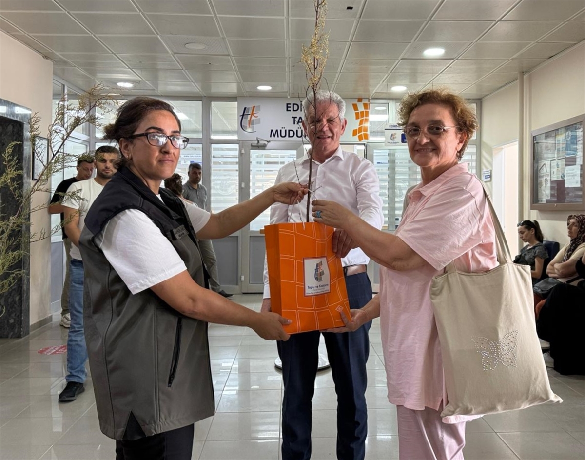 Edirne'de tapuda işlem yapan vatandaşlara fidan hediye ediliyor