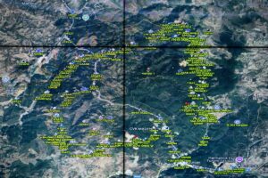 ANKARA (AA) – Tarım ve Orman Bakanlığına bağlı Orman Genel