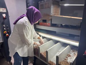 GİRESUN (AA) – ATAKAN ÇITLAK – Giresun'da girişimci Aysun Gündoğdu,