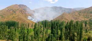 ERZURUM (AA) – Erzurum'un Oltu ilçesinde çıkan örtü yangını ekiplerin