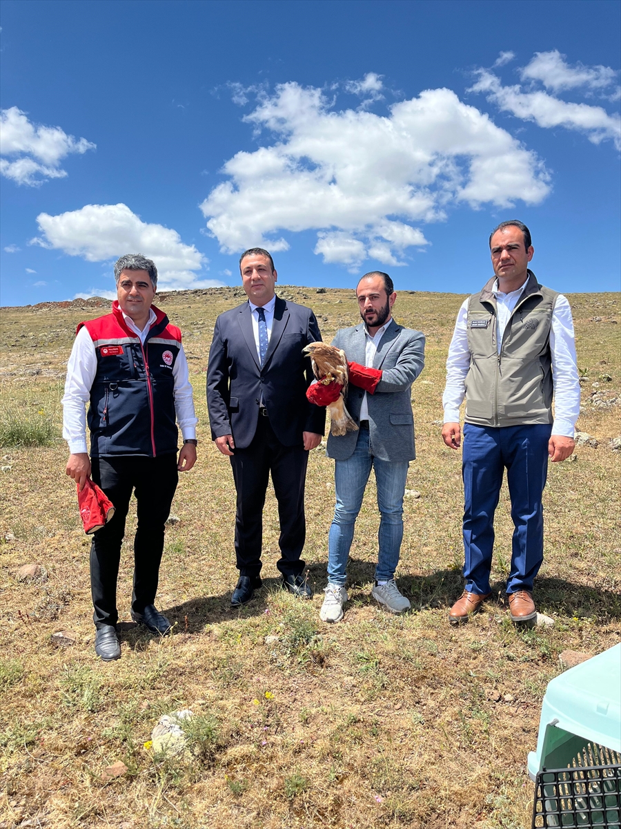 Erzurum'da yaralı bulunan şahin tedavisinin ardından doğaya bırakıldı