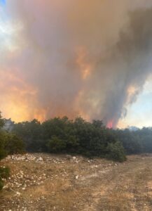 ESKİŞEHİR (AA) – Eskişehir'in Seyitgazi ilçesinde ormanlık alanda çıkan yangına