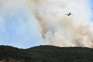 ESKİŞEHİR (AA) – Eskişehir'in Seyitgazi ilçesinde çıkan orman yangınına havadan