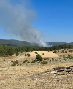 ESKİŞEHİR (AA) – Eskişehir'in Seyitgazi ilçesinde çıkan orman yangınına havadan
