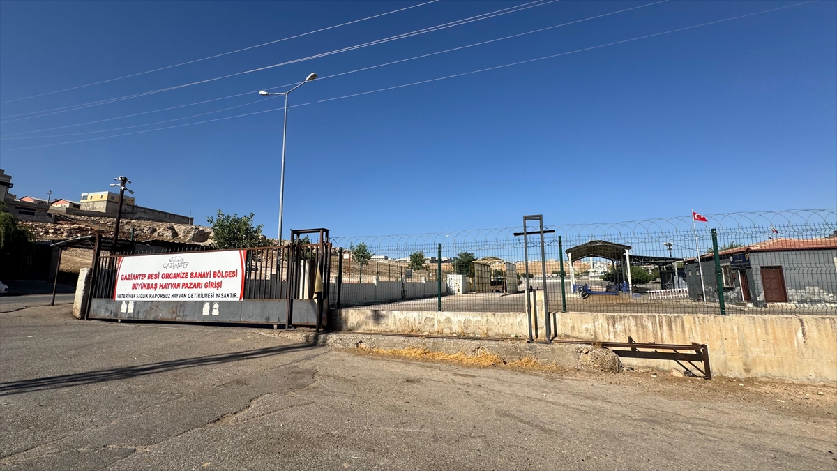 Gaziantep'te hayvan pazarı tedbir amaçlı kapatıldı