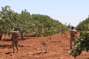 GAZİANTEP (AA) – Gaziantep'te hasat sezonunun yaklaşmasıyla birlikte jandarma Antep