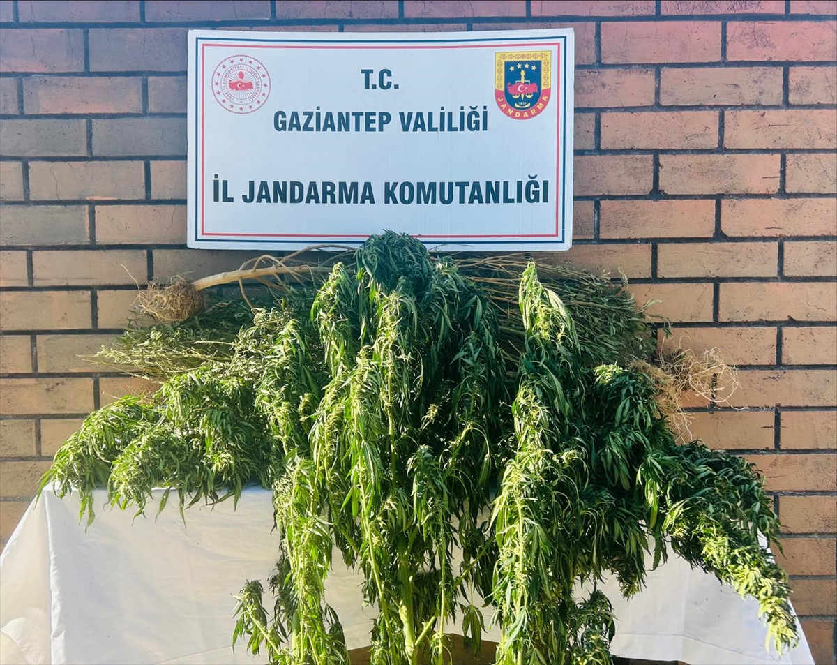 Gaziantep'te uyuşturucu operasyonunda bir kişi tutuklandı