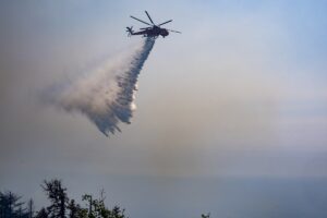ANTALYA (AA) – Antalya'nın Alanya ilçesindeki orman yangını kontrol altına
