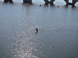 EDİRNE (AA) – Türkiye Kürek Federasyonu tarafından Meriç Nehri'nde düzenlenecek